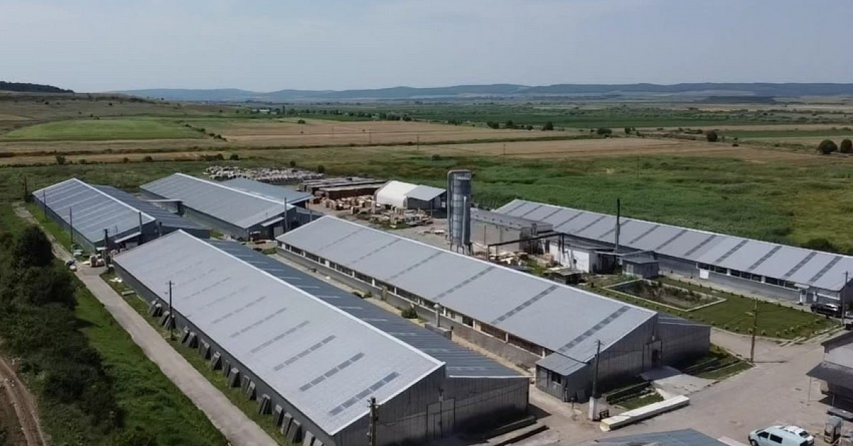 Holdingul industrial ROCA preia integral Workshop Doors, al doilea producător de uși rezidențiale din România