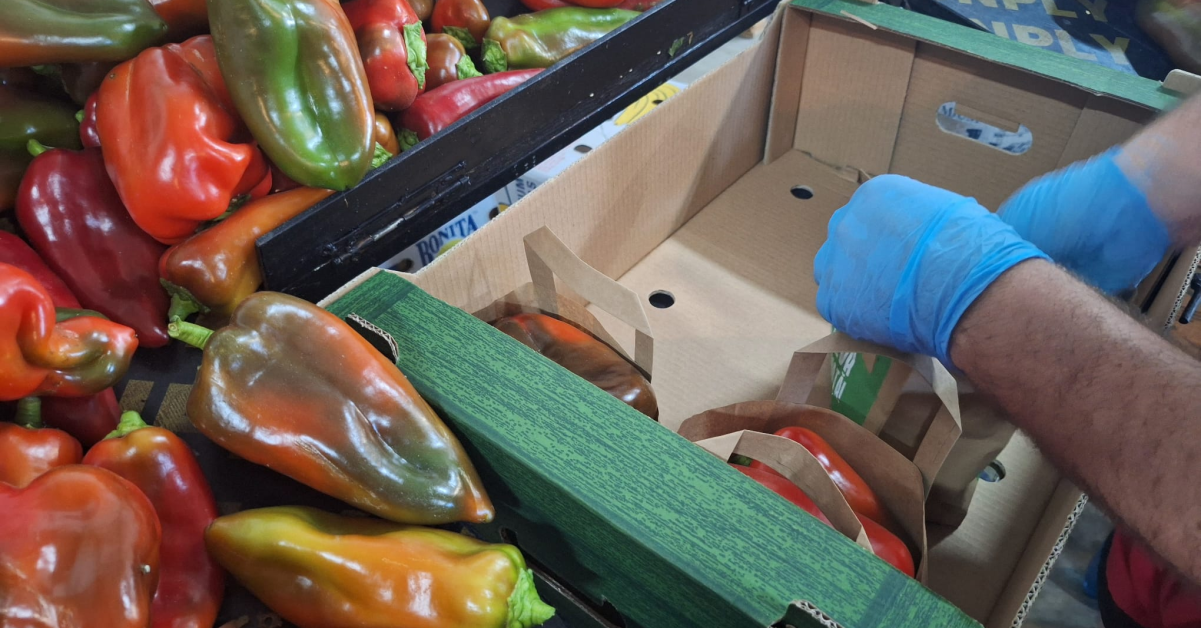 Fermier din tată-n fiu: povestea celor patru tineri din Oltenia care au creat cooperativa agricolă AgrolegBio 