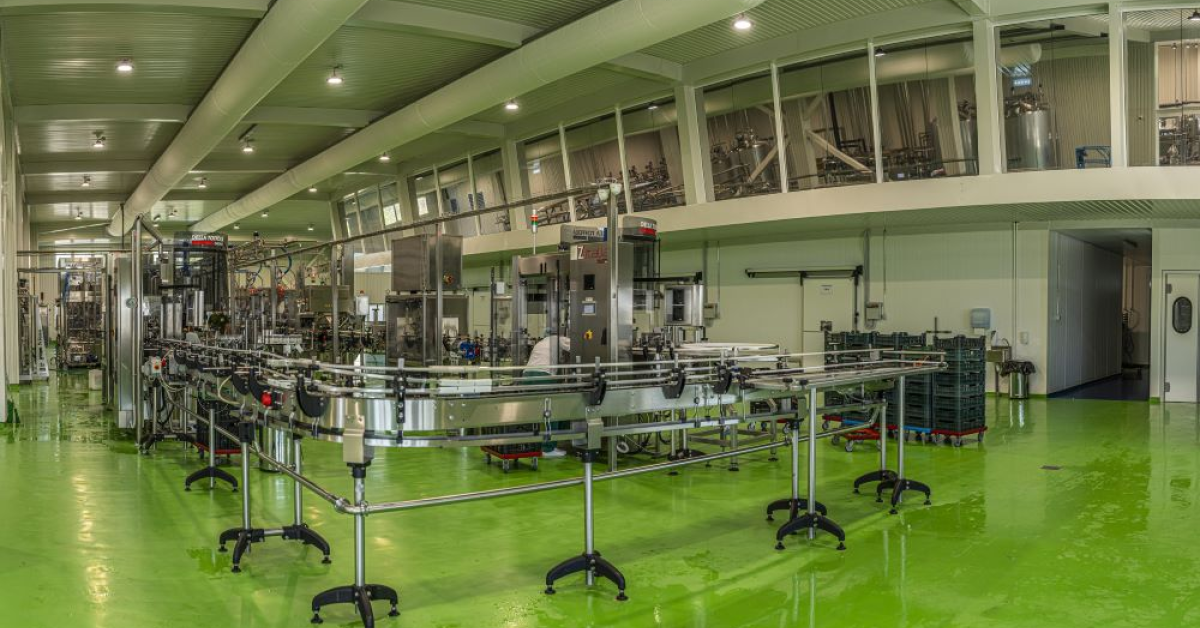 Artesana înregistrează o creștere în vânzări: cifra de afaceri pentru 2024