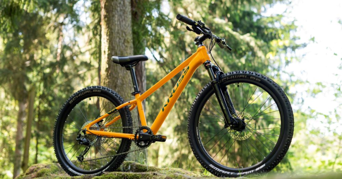 Idei de cadouri pentru Crăciun: reduceri de până la 45% la bicicletele de la ZMEU BICLE