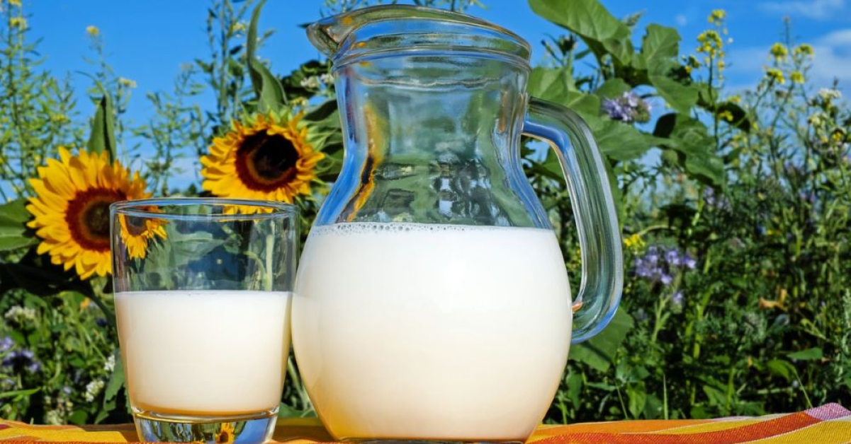 Lăptăria cu Caimac propulsează Agroserv Măriuța (MILK): compania revine pe profit cu o creștere operațională de 303%