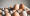 Vârful extrem al unui fenomen care se manifestă la nivel mondial: Ouăle, în pericol de dispariție