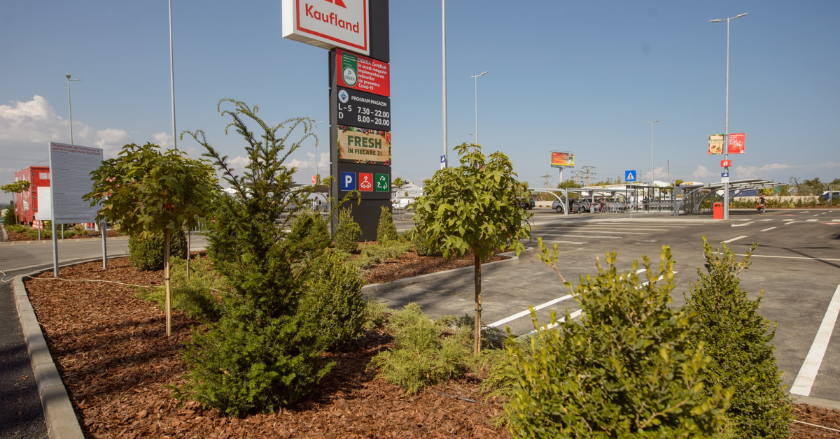 Kaufland deschide al patrulea magazin din Constanța, cu spațiu verde și peste o mie de copaci și arbuști