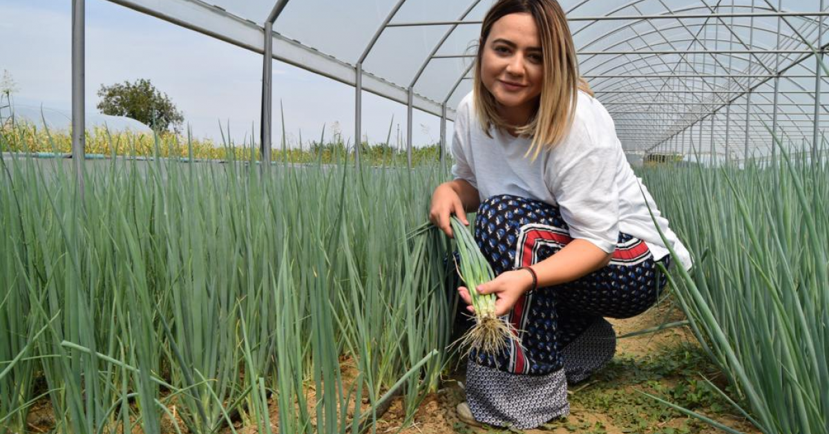 Fresh Veg, producător român de legume și fructe, livrează de Paște 500.000 de produse 