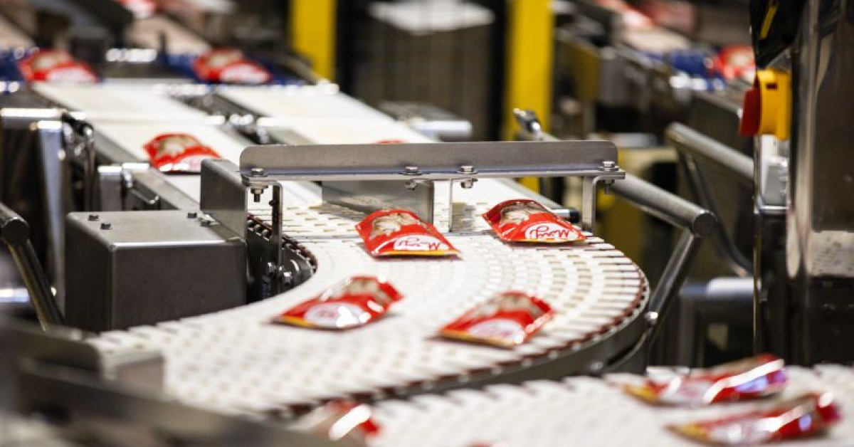 Crește importul de hrană pentru animale în România. Unde va fi construită o nouă fabrică de pet food