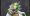 Floria.ro, bilanț la 10 ani: de la buchete de crizanteme la aranjamente florale exotice, mii de comenzi livrate