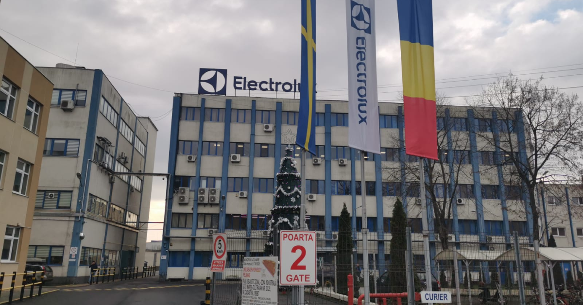Ore de alimentație echilibrată în școli: Electrolux România organizează și anul acesta ateliere de nutriție pentr elevi
