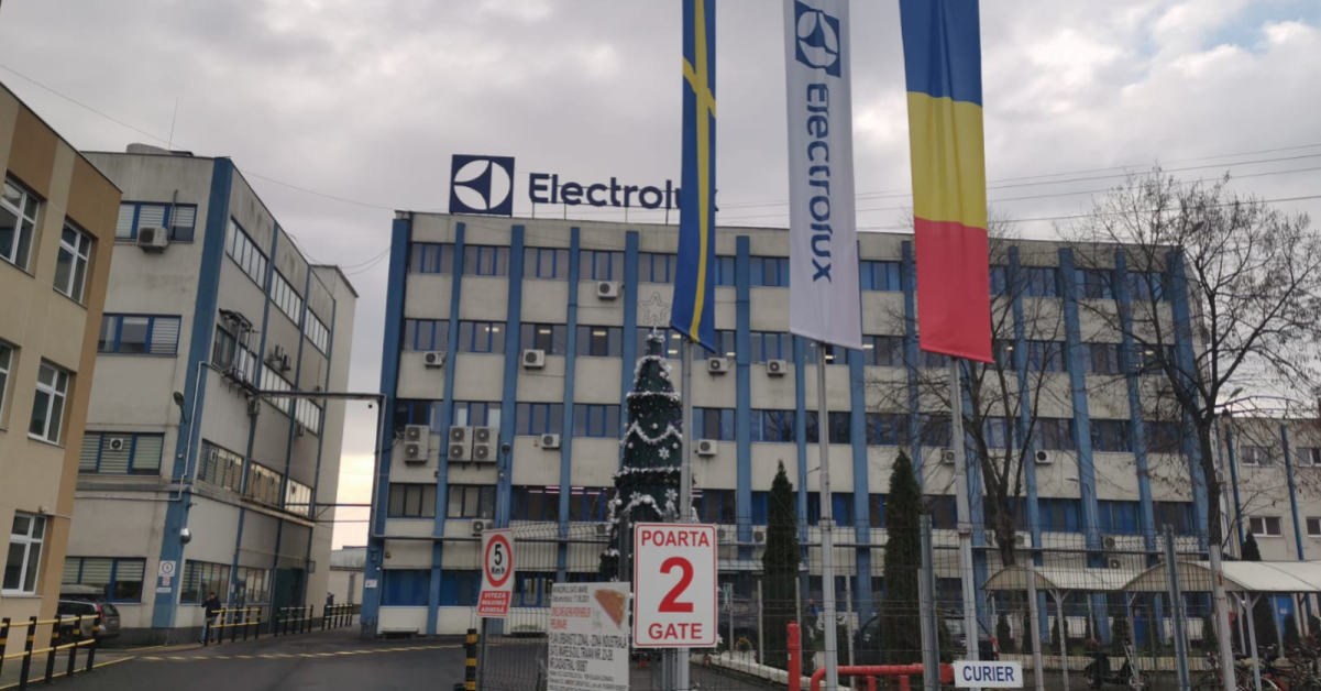 Ore de alimentație echilibrată în școli: Electrolux România organizează și anul acesta ateliere de nutriție pentr elevi